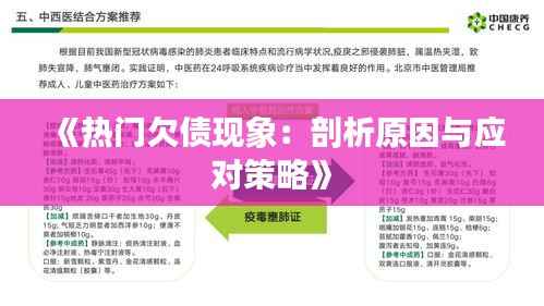 《热门欠债现象:剖析原因与应对策略》