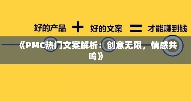 《PMC热门文案解析：创意无限，情感共鸣》