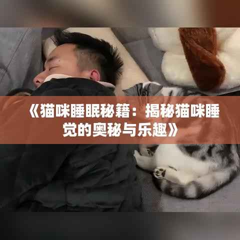 《猫咪睡眠秘籍：揭秘猫咪睡觉的奥秘与乐趣》