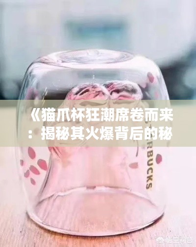 《猫爪杯狂潮席卷而来:揭秘其火爆背后的秘密》
