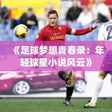 《足球梦想青春录:年轻球星小说风云》