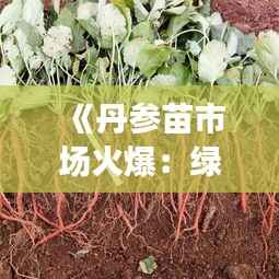 熊经鸟伸 第5页