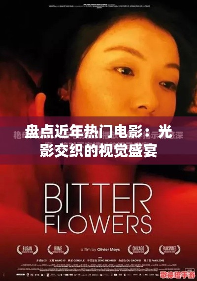 盘点近年热门电影：光影交织的视觉盛宴