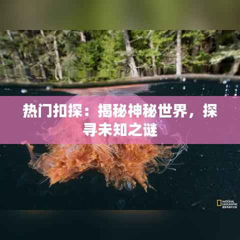 热门扣探:揭秘神秘世界,探寻未知之谜