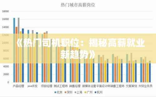 《热门司机职位：揭秘高薪就业新趋势》
