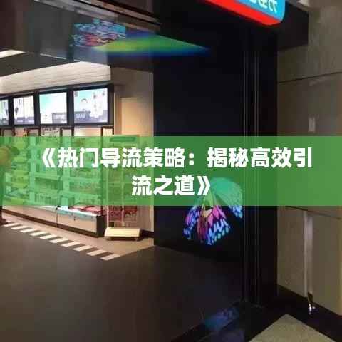 《热门导流策略：揭秘高效引流之道》