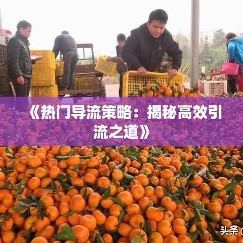 《热门导流策略:揭秘高效引流之道》