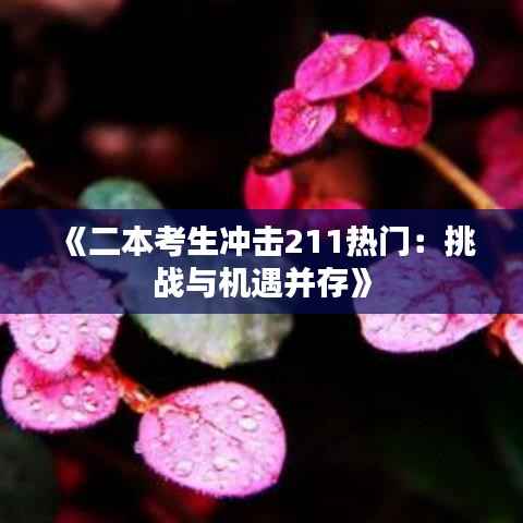 《二本考生冲击211热门:挑战与机遇并存》