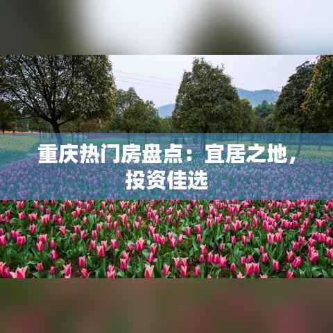 落土飞岩 第5页