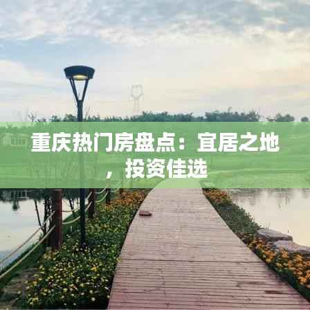 重庆热门房盘点:宜居之地,投资佳选