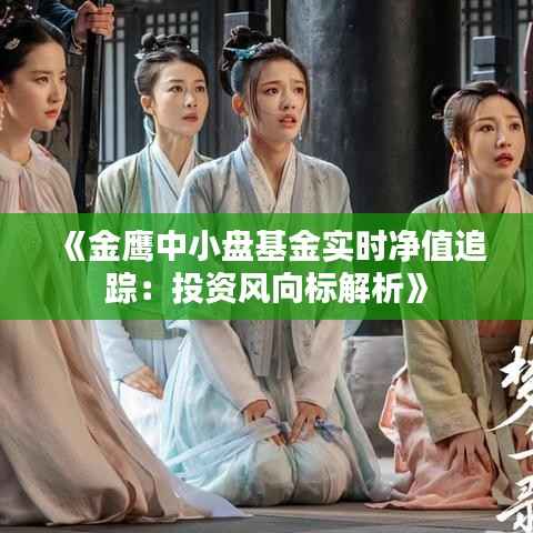 《金鹰中小盘基金实时净值追踪:投资风向标解析》