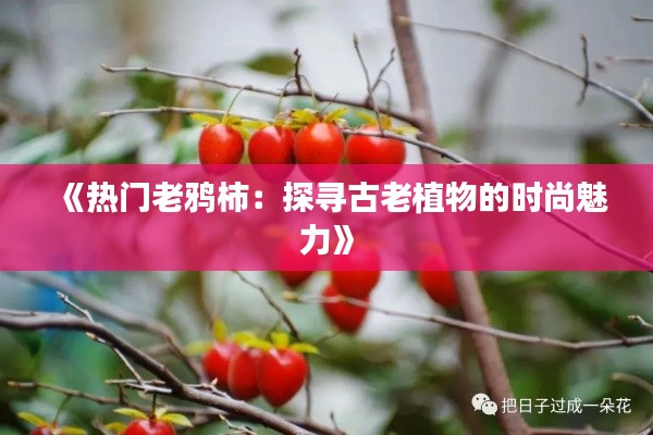 《热门老鸦柿:探寻古老植物的时尚魅力》