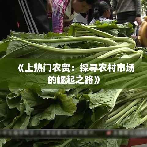 《上热门农贸:探寻农村市场的崛起之路》