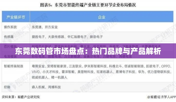 东莞数码管市场盘点:热门品牌与产品解析