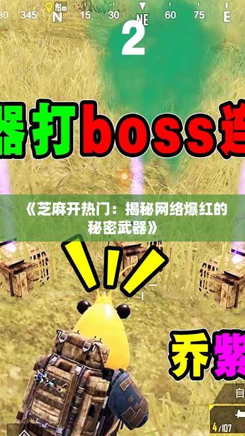 《芝麻开热门:揭秘网络爆红的秘密武器》