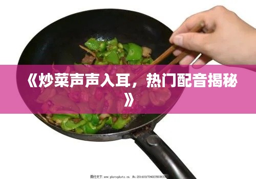 《炒菜声声入耳，热门配音揭秘》