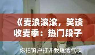 《麦浪滚滚，笑谈收麦季：热门段子大盘点》