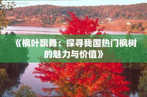 《枫叶飘舞:探寻我国热门枫树的魅力与价值》