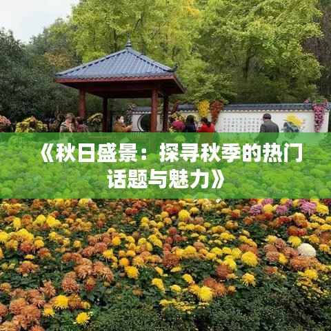 《秋日盛景:探寻秋季的热门话题与魅力》
