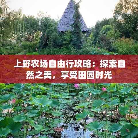 上野农场自由行攻略：探索自然之美，享受田园时光