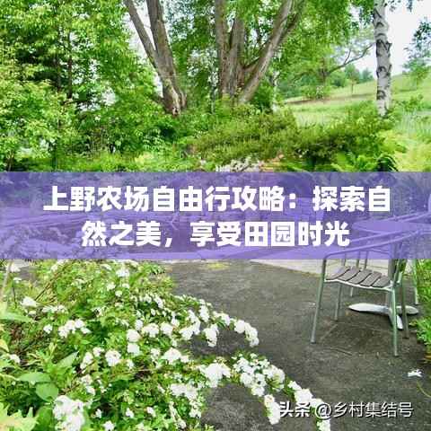 上野农场自由行攻略:探索自然之美,享受田园时光