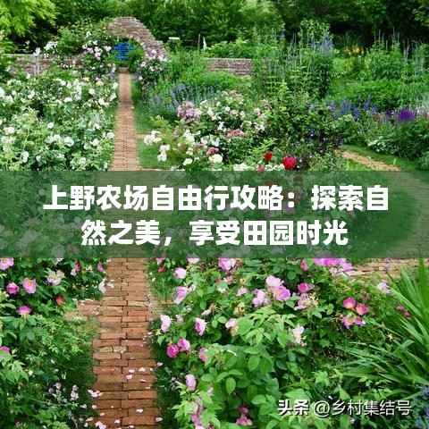 上野农场自由行攻略:探索自然之美,享受田园时光