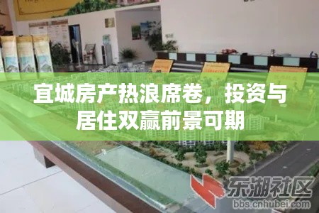 空前绝后 第5页