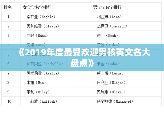 《2019年度最受欢迎男孩英文名大盘点》