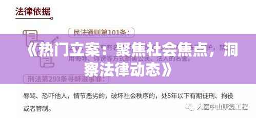 《热门立案:聚焦社会焦点,洞察法律动态》