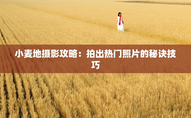 小麦地摄影攻略:拍出热门照片的秘诀技巧