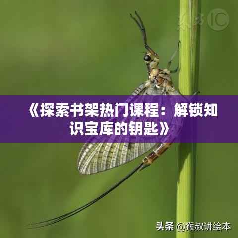 《探索书架热门课程:解锁知识宝库的钥匙》
