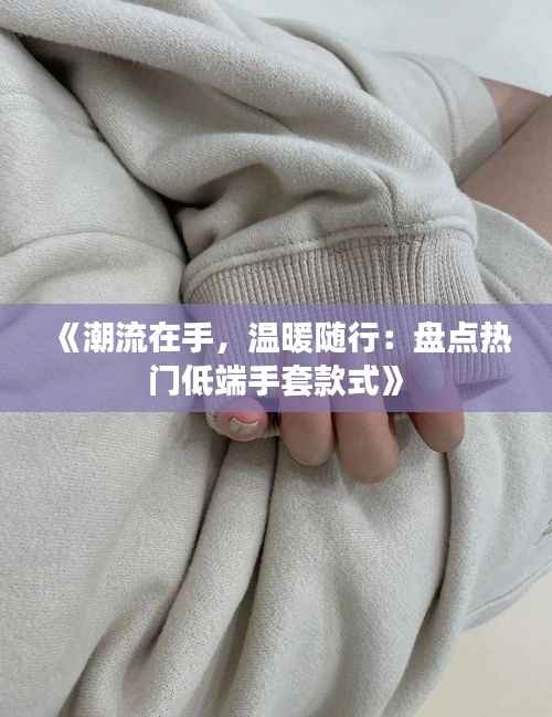 《潮流在手，温暖随行：盘点热门低端手套款式》