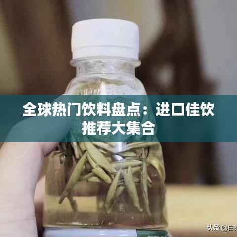 全球热门饮料盘点:进口佳饮推荐大集合