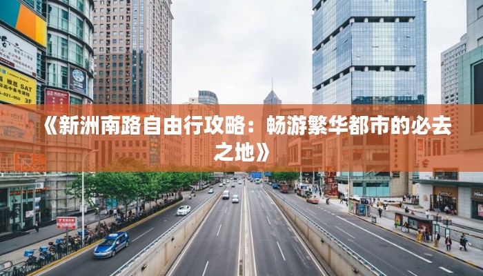 《新洲南路自由行攻略:畅游繁华都市的必去之地》