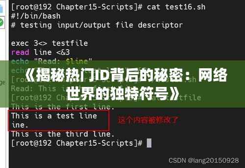 《揭秘热门ID背后的秘密:网络世界的独特符号》