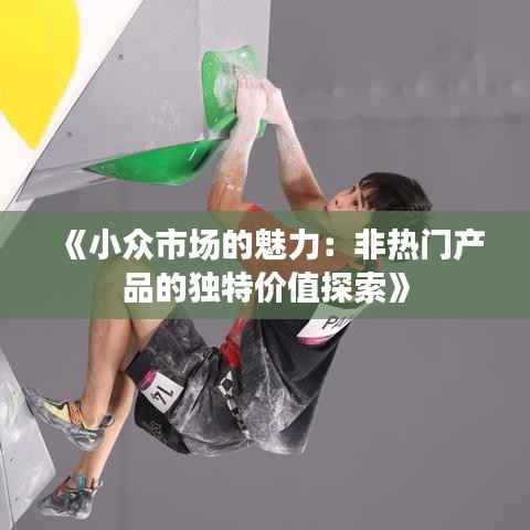 《小众市场的魅力:非热门产品的独特价值探索》