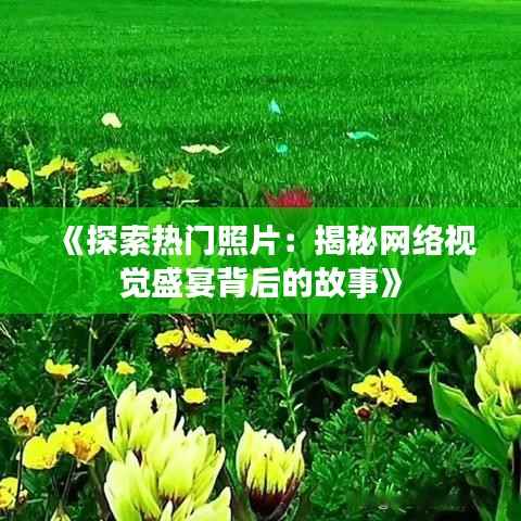 《探索热门照片:揭秘网络视觉盛宴背后的故事》