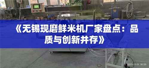 《无锡现磨鲜米机厂家盘点：品质与创新并存》