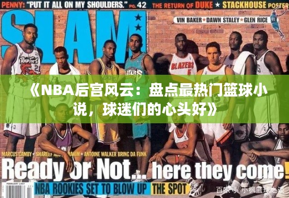 《NBA后宫风云：盘点最热门篮球小说，球迷们的心头好》