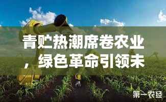 青贮热潮席卷农业，绿色革命引领未来