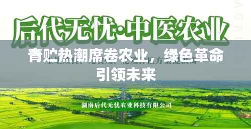 青贮热潮席卷农业,绿色革命引领未来