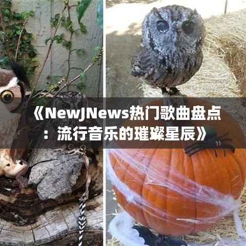 《NewJNews热门歌曲盘点:流行音乐的璀璨星辰》