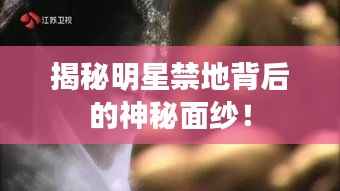 揭秘明星禁地背后的神秘面纱!