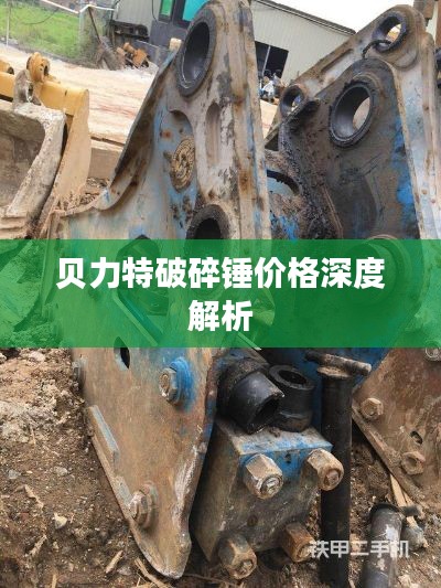 贝力特破碎锤价格深度解析
