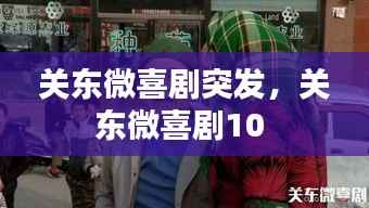 关东微喜剧突发，关东微喜剧10 