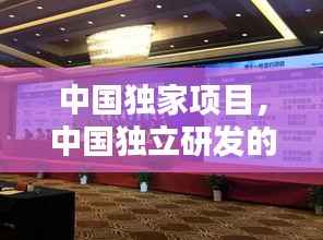 中国独家项目,中国独立研发的项目