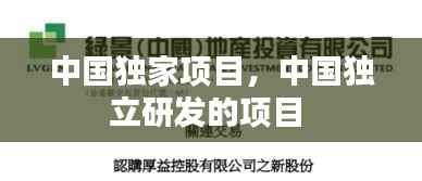 中国独家项目,中国独立研发的项目
