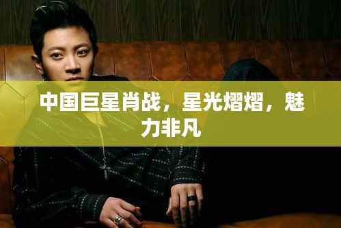 中国巨星肖战,星光熠熠,魅力非凡