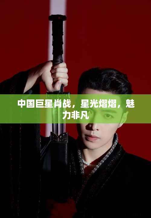 中国巨星肖战,星光熠熠,魅力非凡