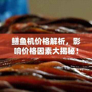鳝鱼机价格解析,影响价格因素大揭秘!